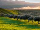 Vacation in Florence and Tuscany