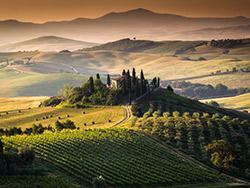 Tuscan countryside